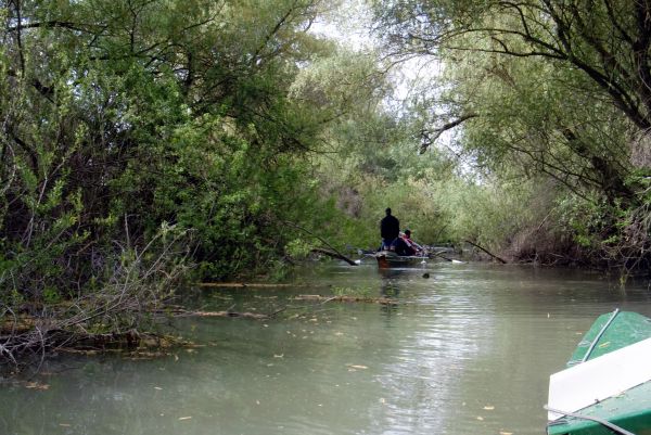 wir kommen immer durch Donaudelta 2019