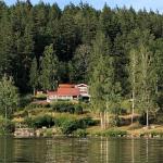 Blick von der Hütte