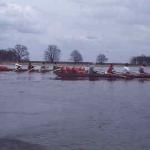 zwei Vierer rudern auf der Oder