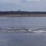 Tonne Strömung Oder Rudern