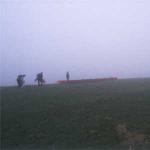 nebel am Elbufer Ruderboot