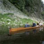 Rudervierer vor Felswand