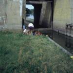 Schaffotschleuse Havel