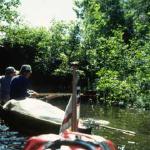 rohr finnischer Kanal Saimaa Ruderboot