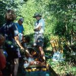 umtrage am Saimaa See im Dschungel und Sumpf