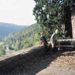 aussicht auf die Mosel