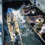 spreewald schleuse ruderboot