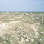 Dünengürtel auf Schiermonnikoog