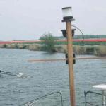 Ruderzweier vor Blumenmeer in Holland