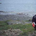 Weg zum Ruderboot am Fjord