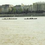 Ruderboote in Budapest