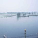 Tangermünde Überschwemmte Wiesen