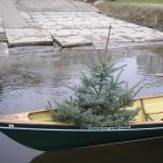 Barkenfahrt 2005 Weihnachtsbaum