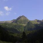 lp05_obertal