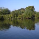 Elbe- Luebeck- Kanal Landschaft 30