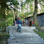 Arbeitseinsatz Schuppen1