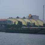 Koenig der Loewen 06