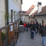 Ruderer auf dem Weg zur Burg Bratislava  DWM07