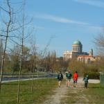 Ruderer in Esztergom DWM07