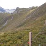 Blick zur Gamskarspitze 07