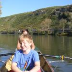 Neckarstrecke mit vielen Weinbergen NR07