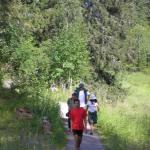 Wanderer am Koli SP07