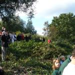 zuschauer regatta kleinmachnow 08