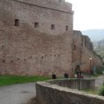 Burgruine Wertheim MDK08