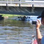 sehr flache Bruecke Sw08