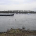 Rhein bei Rees RH08