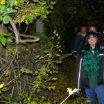 Nachtwanderung vom Kahlenberg nach Nussdorf D09