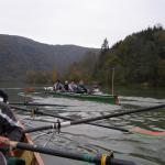 Ruderboote im Donaudurchbruch hinter Passau D09