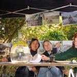 Startbuero Drachenbootrennen 0902