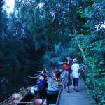 Steg in Glindow 09