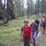 Brandener Urwald Loipold 09