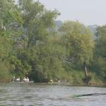 Auf der Fulda 09 Ruderboote