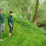 Baum quer in der Fulda 09