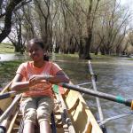 Auwald im Donaudelta DD10