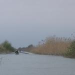 Kanal Buhaz im Donaudelta DD10