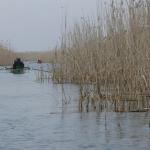 Kanal im Donaudelta DD10