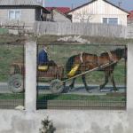 Pferdewagen in Cernavoda DD10