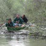 Steuer aushaengen DD10