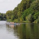 Ruderboote beim Drachenbootcup 2010 Ruderboote beim Drachenbootcup 2010