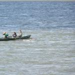 Ruderclub Kleinmachnow auf dem Rhein bei Emmerich WRT10