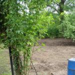 Alles Unkraut raus J201002