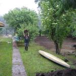 Cookie hat den Baum besiegt J2010