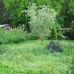 Blick zur Ruine neues Gelaende 2010