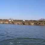 Camargue Pferde am Canal du Rhone a Sete C10