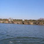 Camargue Pferde am Canal du Rhone a Sete C10