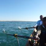 Ruderboot vor der Kueste der kleinen Camargue 10